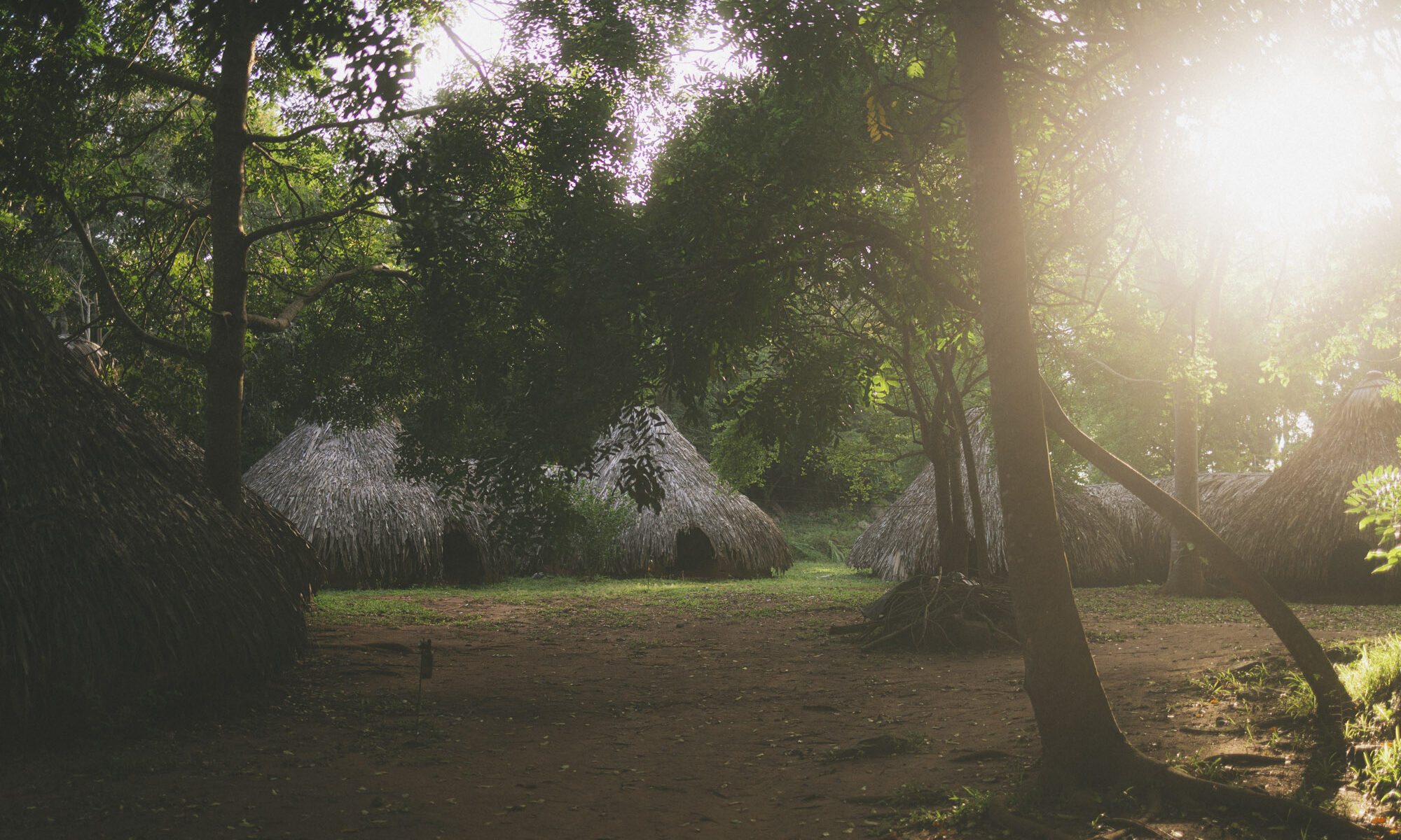 A floating deck under the banyan, where the lake does the parenting