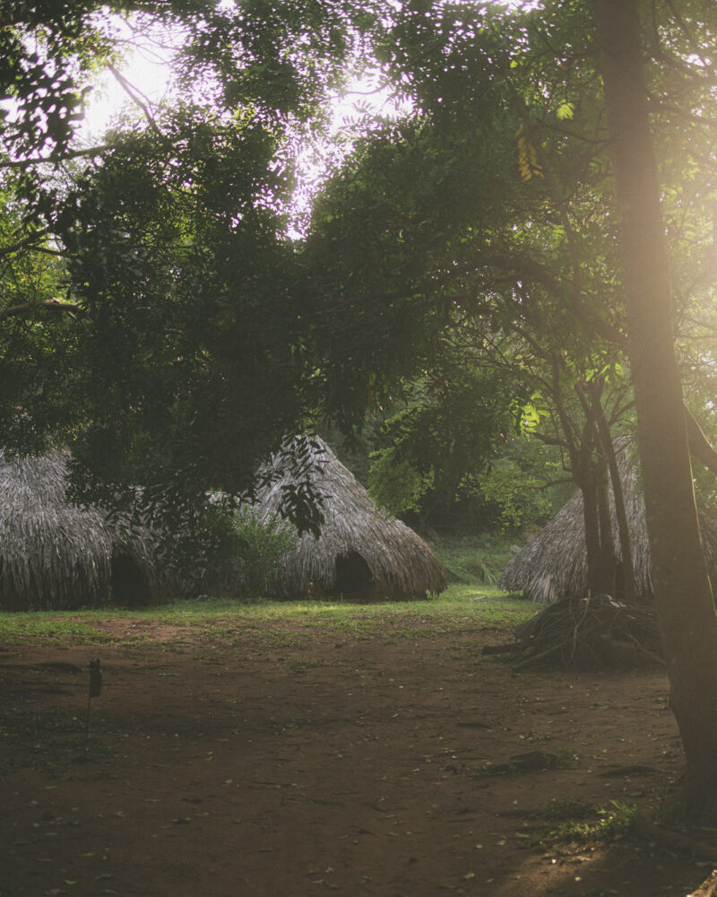 A floating deck under the banyan, where the lake does the parenting