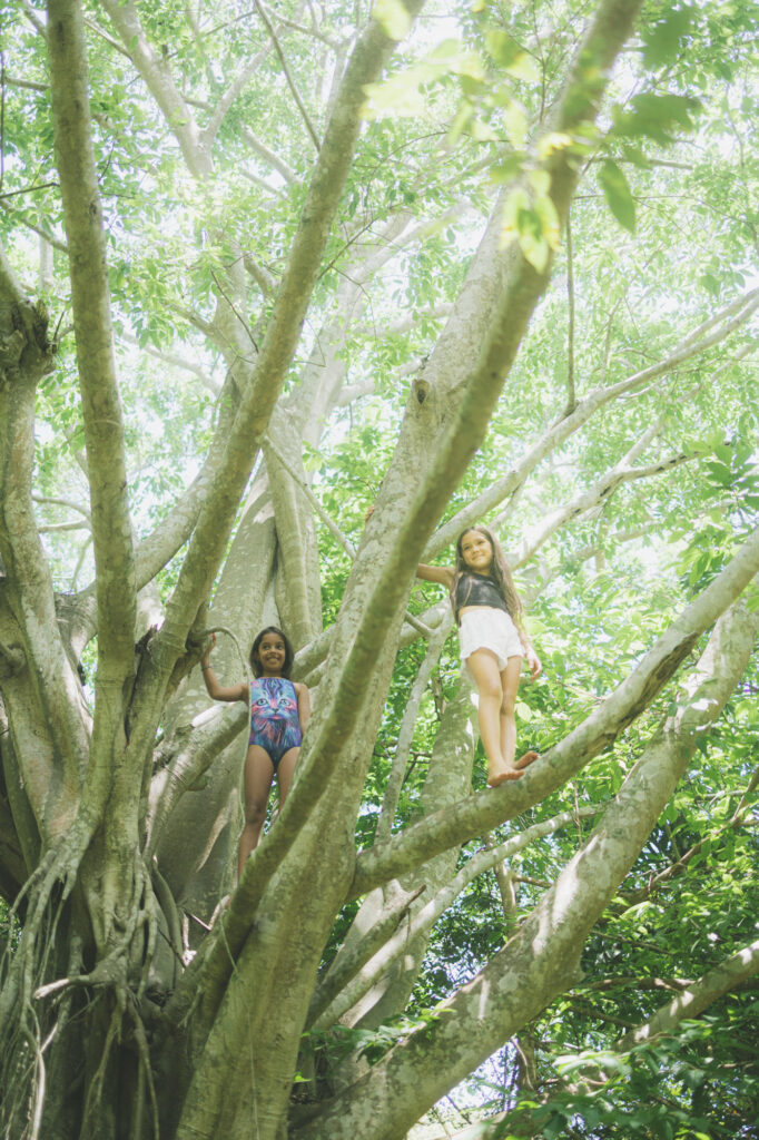Two girls climbing high in the pale branches of an enormous banyan tree, backlit by green canopy.